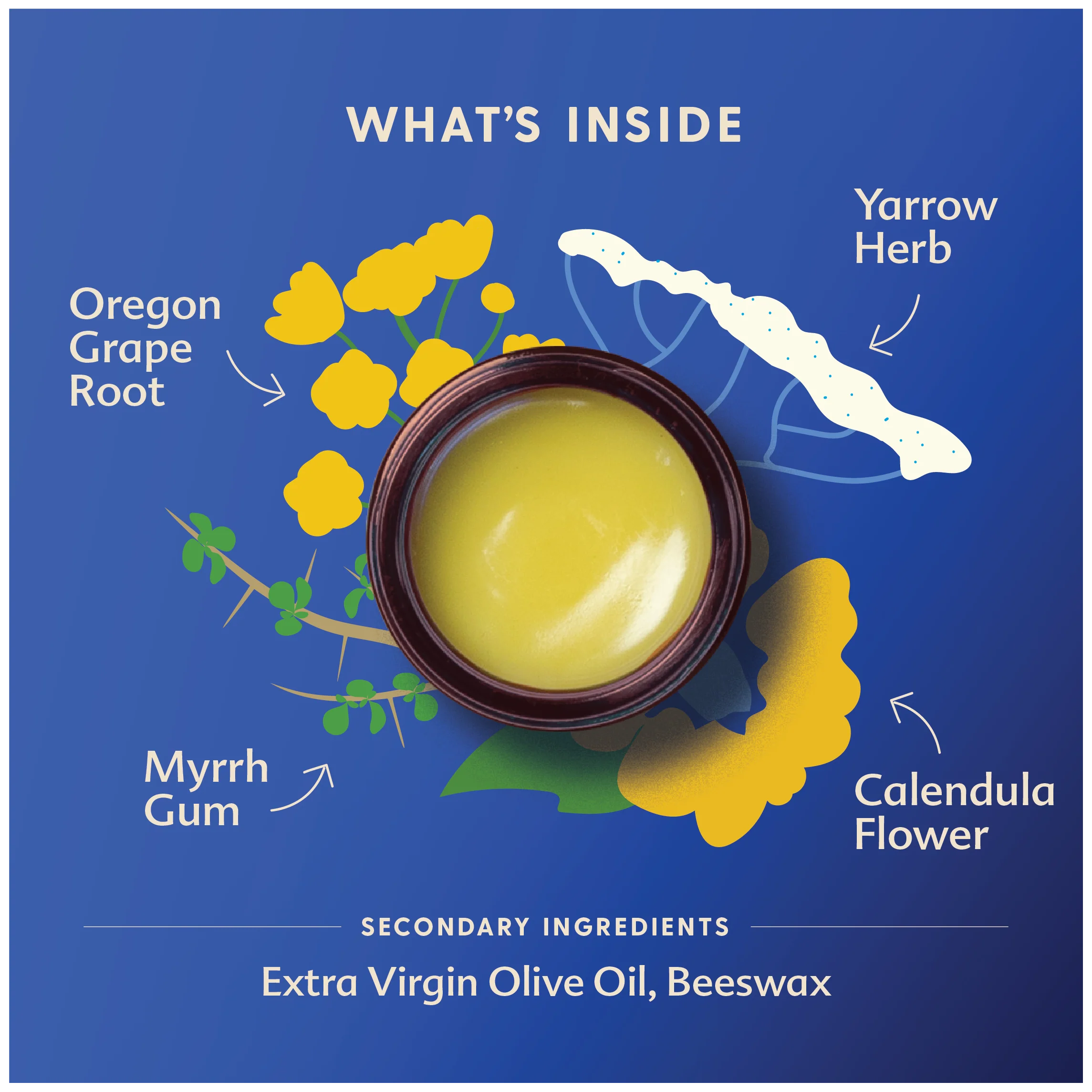 Diaper Balm 1 oz by Motherlove - Image 4