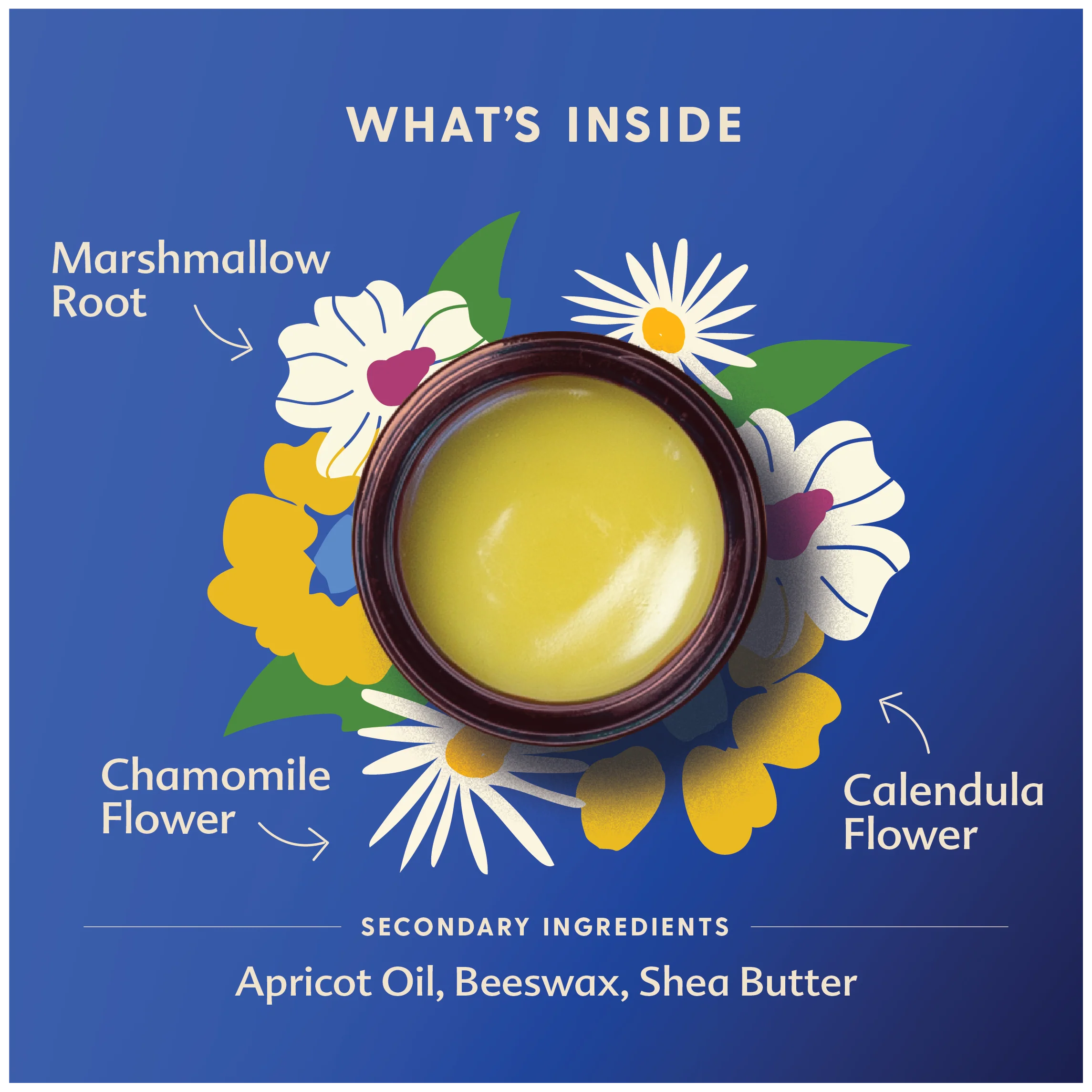 Everyday Baby Balm - 2 oz by Motherlove - Image 7