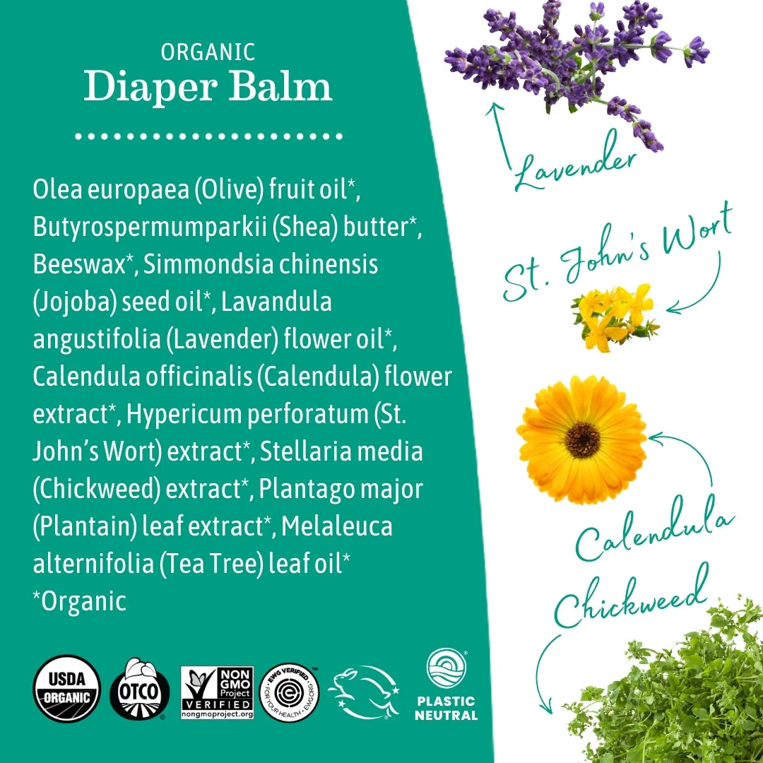 Organic Diaper Balm 2 oz by Earth Mama Organics - Image 5