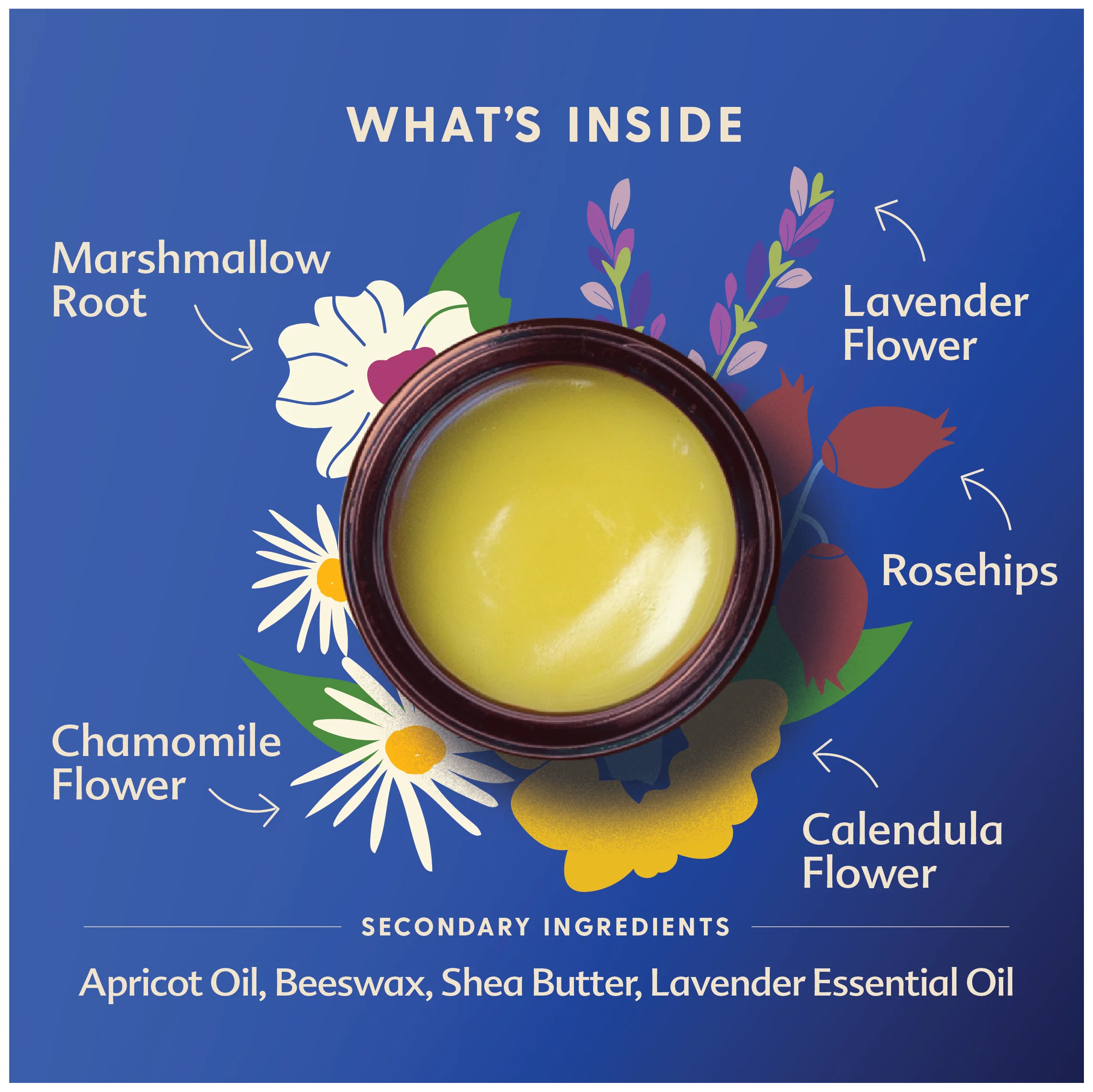 Pregnant Belly Salve 4 oz by Motherlove - Image 4