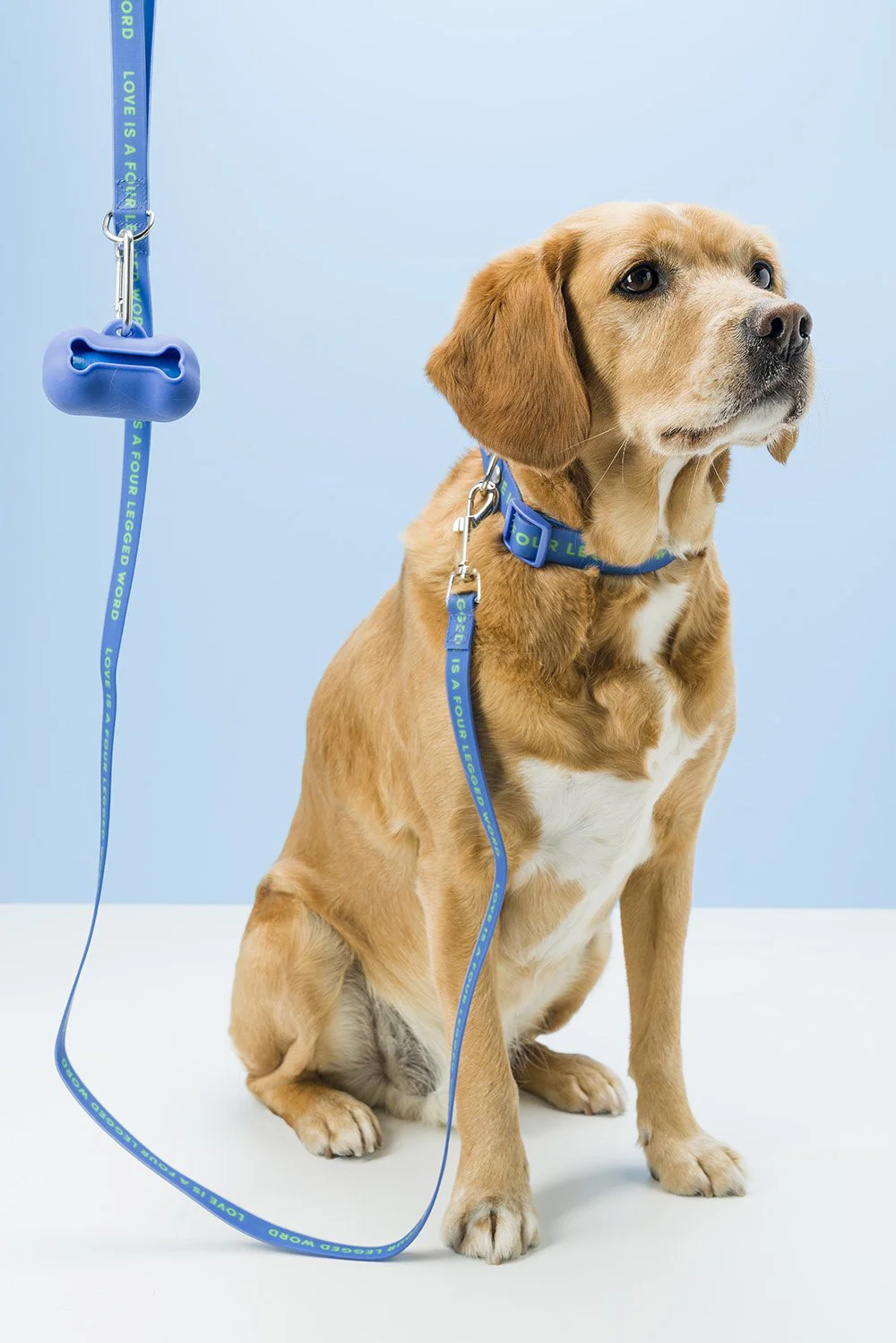 Silicone Poo Bag by Gummi Pets - Image 4