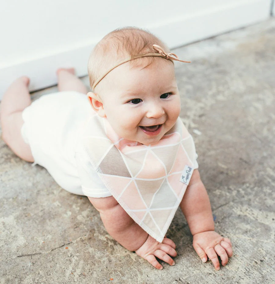 Single Bandana Bib - Blush by Copper Pearl - Image 3
