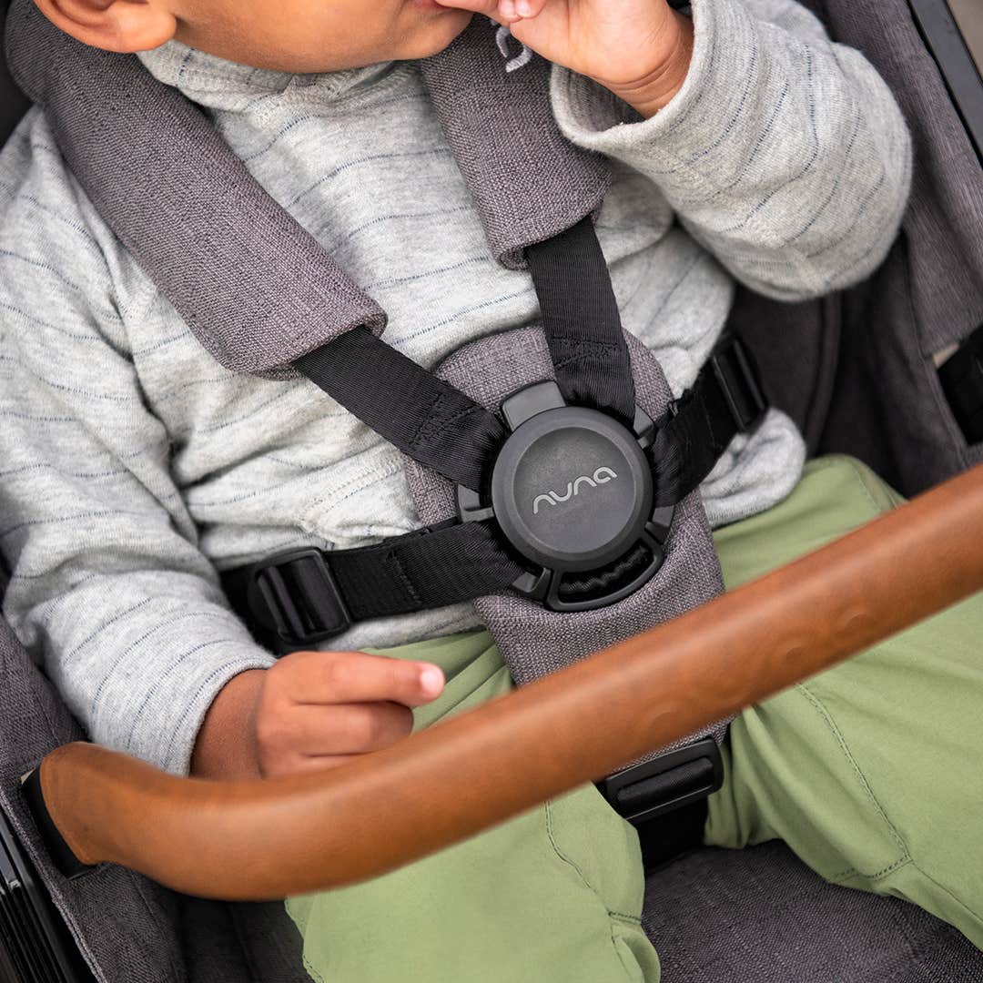TAVO Next Stroller + Pipa RX Infant Car Seat by Nuna - Image 4